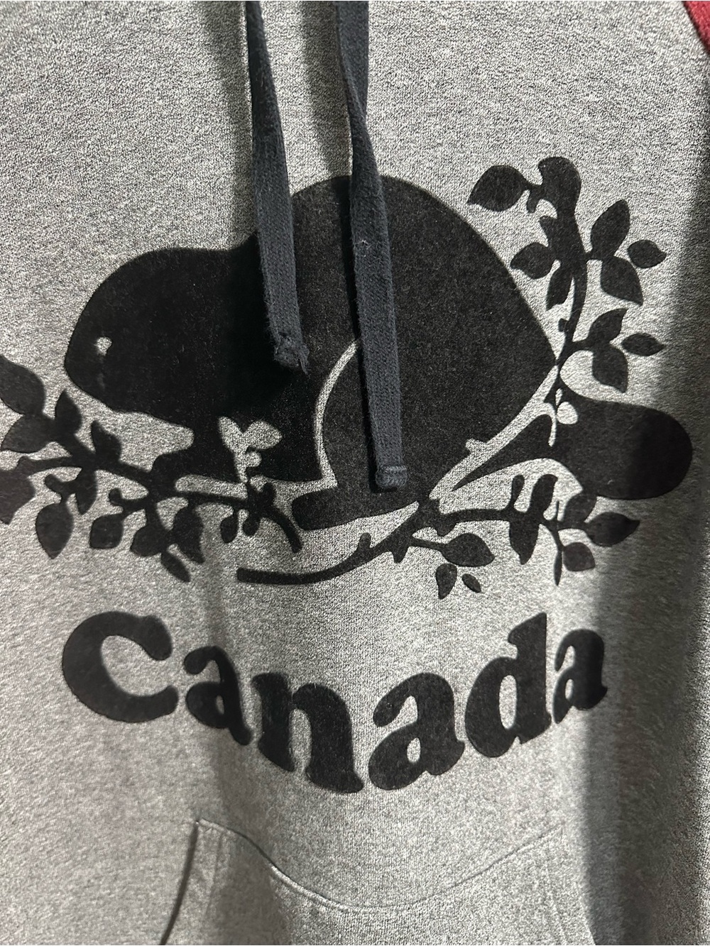 Roots Hoodie Gray and Burgundy Size XL - Picture 3 of 7